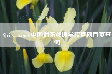 潍坊中国消防救援学院官网首页查询