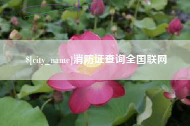 潍坊消防证查询全国联网