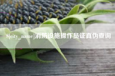 潍坊消防设施操作员证真伪查询