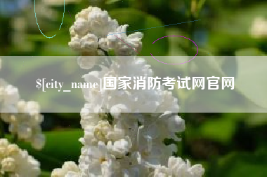 潍坊国家消防考试网官网