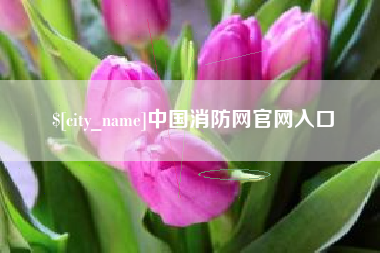 潍坊中国消防网官网入口