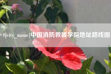 潍坊中国消防救援学院地址路线图