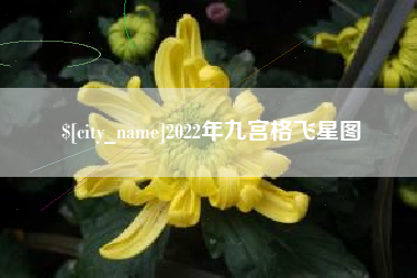 潍坊2022年九宫格飞星图