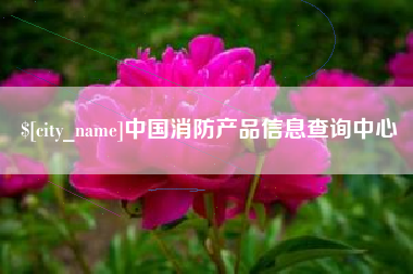 潍坊中国消防产品信息查询中心