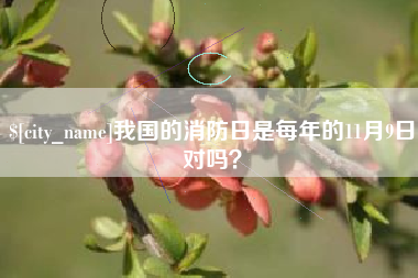 潍坊我国的消防日是每年的11月9日对吗？