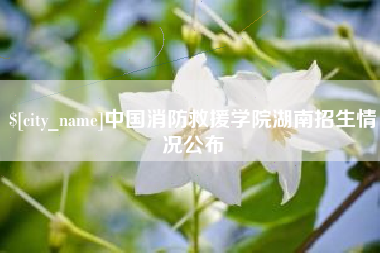 潍坊中国消防救援学院湖南招生情况公布