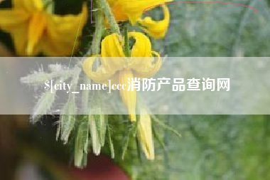 潍坊ccc消防产品查询网