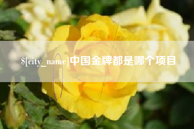 潍坊中国金牌都是哪个项目
