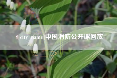 潍坊中国消防公开课回放