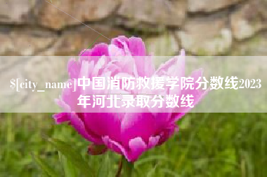潍坊中国消防救援学院分数线2023年河北录取分数线