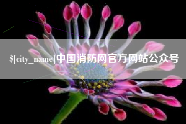 潍坊中国消防网官方网站公众号