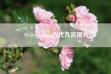 潍坊古代九宫图片