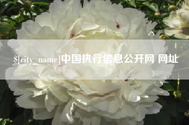 潍坊中国执行信息公开网 网址