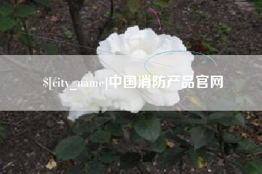 潍坊中国消防产品官网