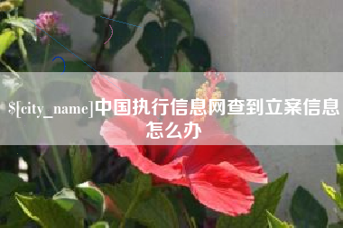 潍坊中国执行信息网查到立案信息怎么办
