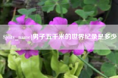 潍坊男子五千米的世界纪录是多少