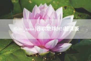 潍坊谷歌地球2024超清版