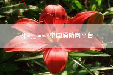 潍坊中国消防网平台