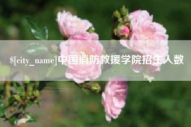 潍坊中国消防救援学院招生人数