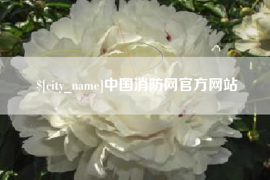 潍坊中国消防网官方网站