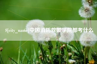 潍坊中国消防救援学院都考什么