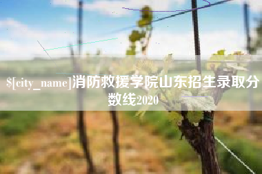 潍坊消防救援学院山东招生录取分数线2020