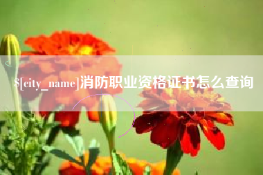 潍坊消防职业资格证书怎么查询