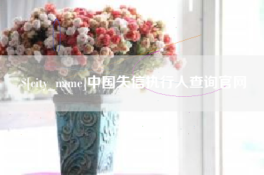 潍坊中国失信执行人查询官网