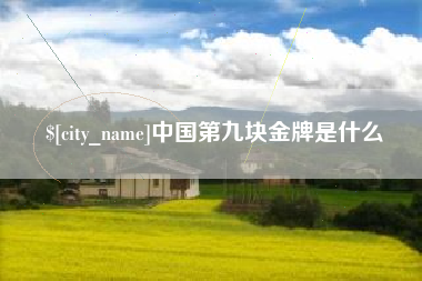 潍坊中国第九块金牌是什么