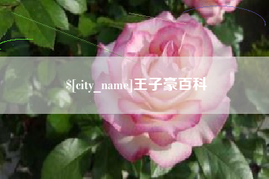 潍坊王子豪百科
