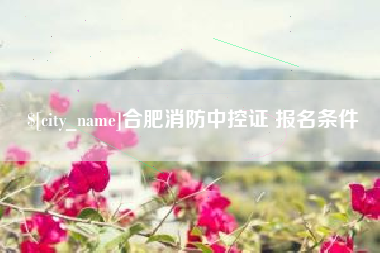 潍坊合肥消防中控证 报名条件