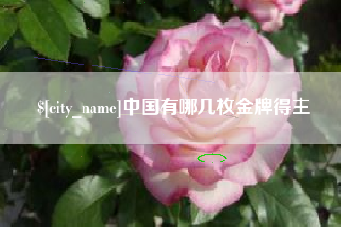潍坊中国有哪几枚金牌得主