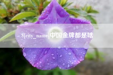 潍坊中国金牌都是啥