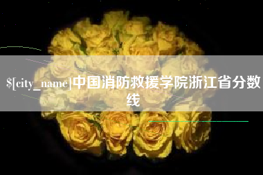 潍坊中国消防救援学院浙江省分数线