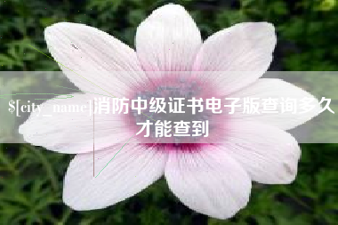 潍坊消防中级证书电子版查询多久才能查到