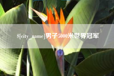 潍坊男子5000米世界冠军
