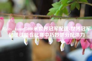 潍坊5000米世界冠军配速-世界冠军们往往能在比赛中巧妙地分配体力
