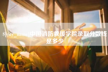 潍坊中国消防救援学院录取分数线是多少