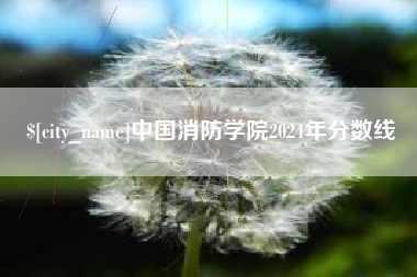 潍坊中国消防学院2024年分数线