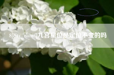 潍坊九宫星位是定位不变的吗