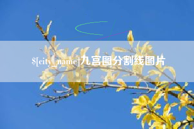 潍坊九宫图分割线图片