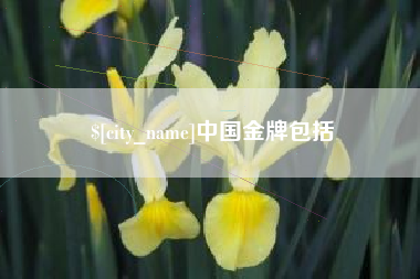潍坊中国金牌包括