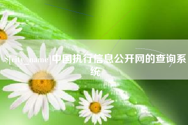 潍坊中国执行信息公开网的查询系统