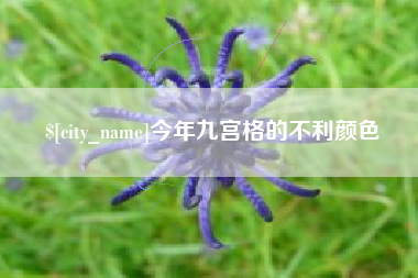 潍坊今年九宫格的不利颜色