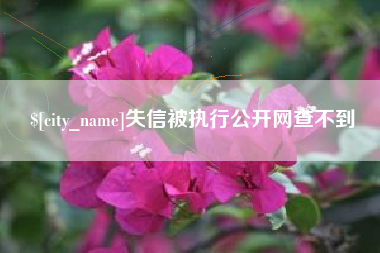 潍坊失信被执行公开网查不到