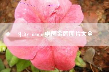 潍坊中国金牌图片大全