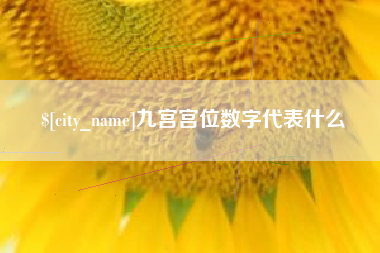 潍坊九宫宫位数字代表什么