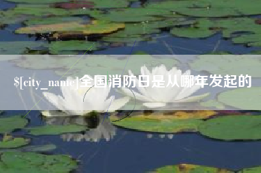 潍坊全国消防日是从哪年发起的