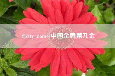 潍坊中国金牌第九金