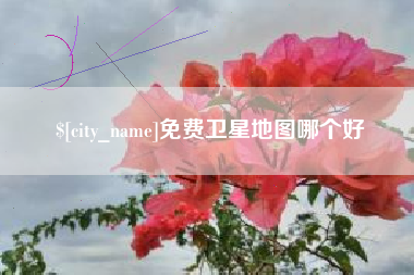 潍坊免费卫星地图哪个好